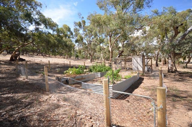 Lot 11 McRae Wood Road, ARMAGH SA 5453, Armagh - Thumbnail 7
