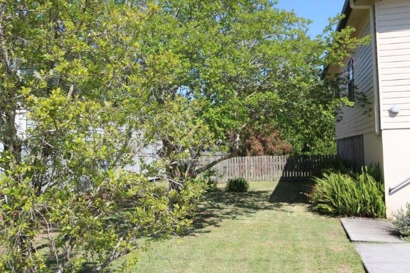 25 Caniaba Street, SOUTH LISMORE NSW 2480, South Lismore - Thumbnail 2