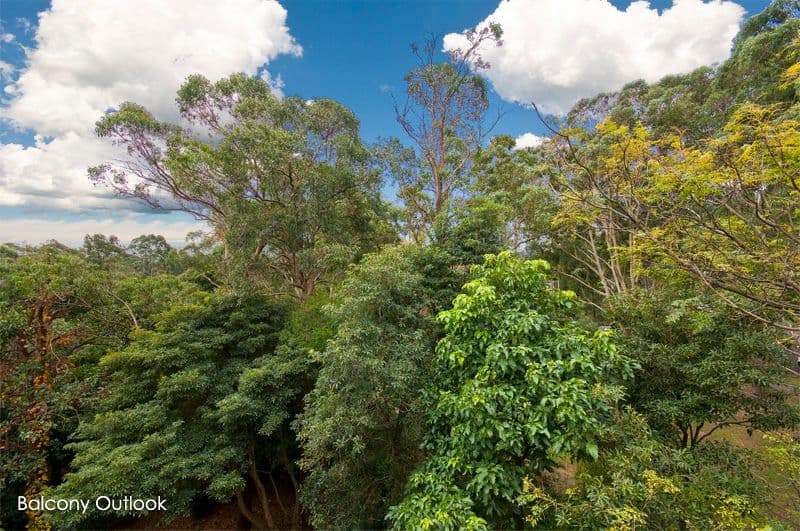 14 Ross Crescent, Sunshine Beach, QLD, 4567, Sunshine Beach - Thumbnail 5