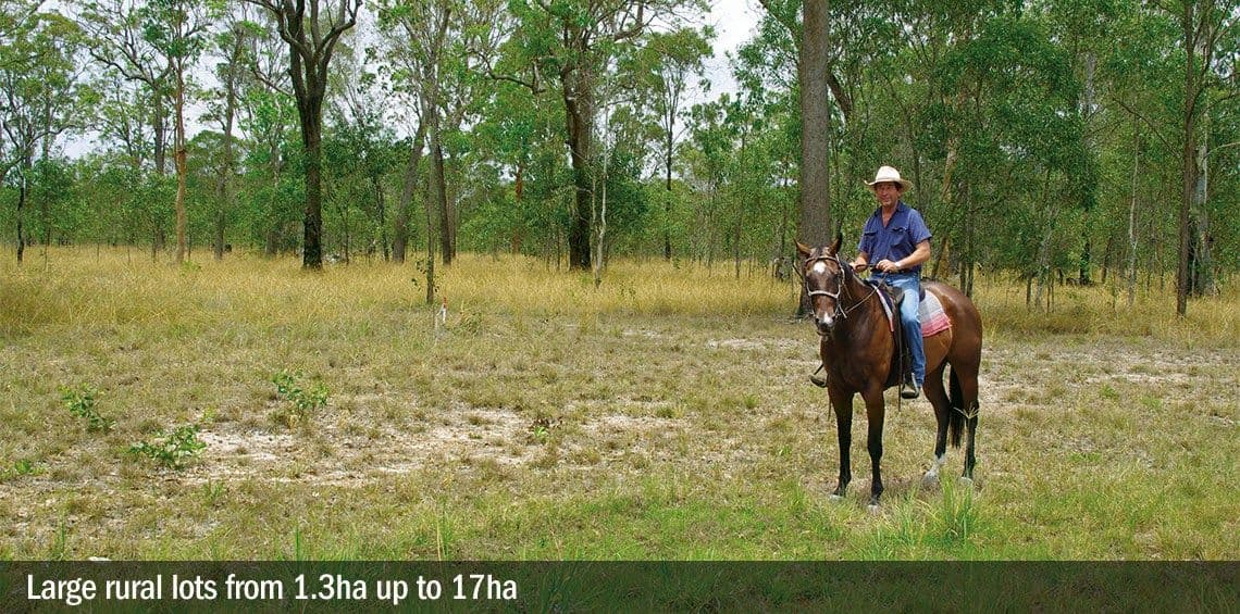 Lot 23 Wallum Froglet Court, Dunmora QLD 4650, Dunmora - Thumbnail 8