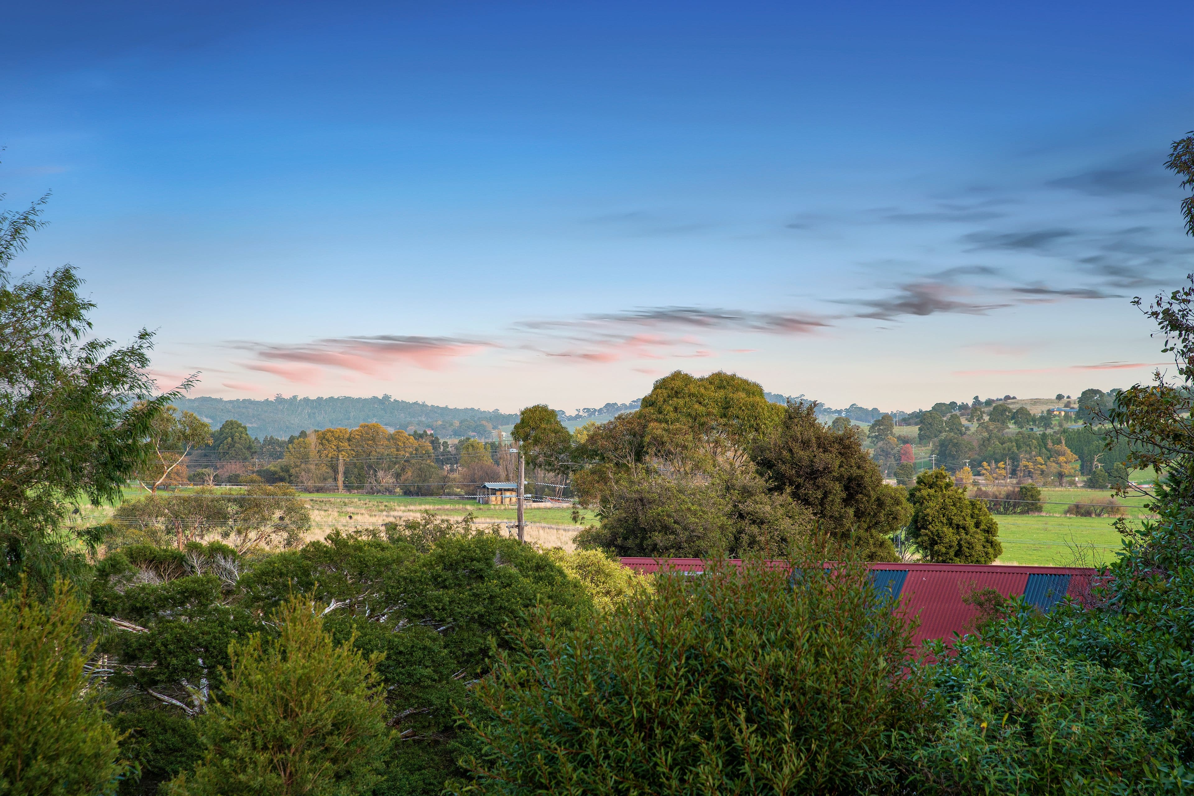 8 Oliver Court, Adelaide SA 5000, Adelaide - Thumbnail 4