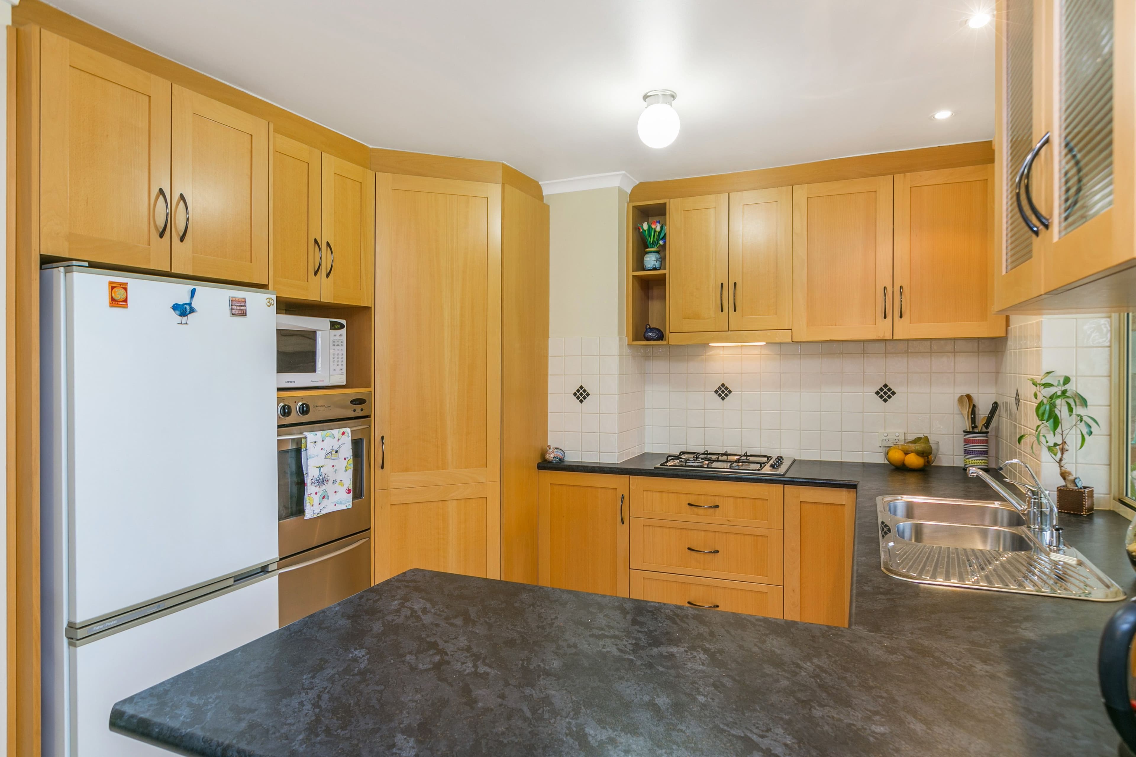 19 Allinga Road, Morphett Vale SA 5162, Morphett Vale - Thumbnail 7