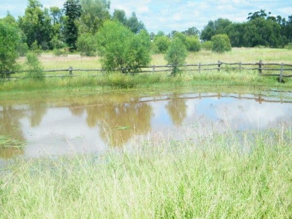 87 Cemetery Road, CHINCHILLA QLD 4413, Chinchilla - Thumbnail 2