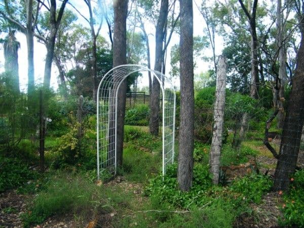 87 Cemetery Road, CHINCHILLA QLD 4413, Chinchilla - Thumbnail 4