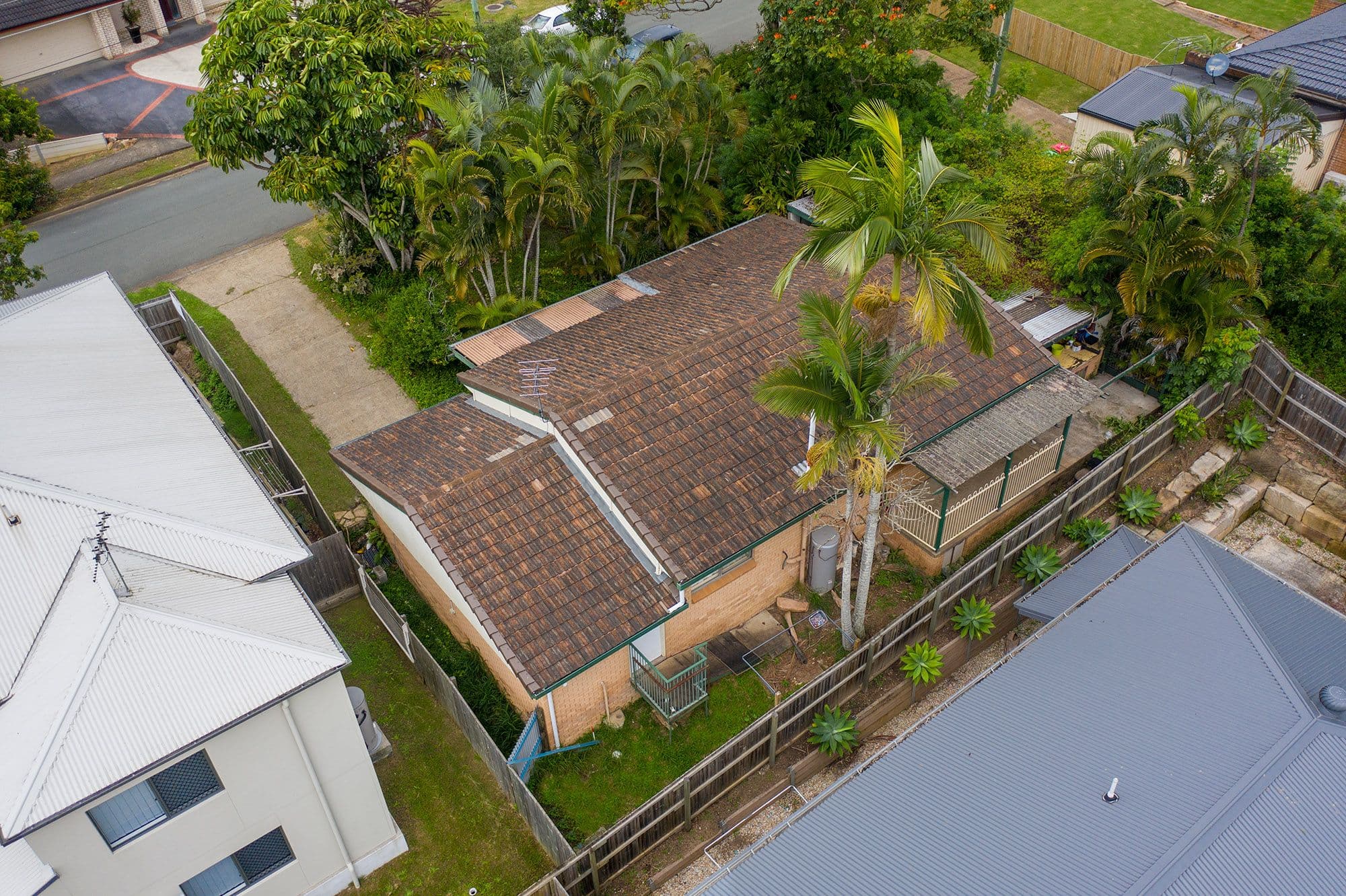 3 Kunde Street, Cornubia QLD 4130, Cornubia - Thumbnail 2