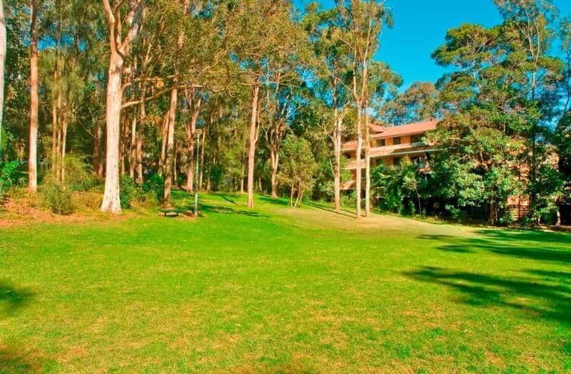 39 Helen Street, LANE COVE NSW 2066, Lane Cove North - Thumbnail 4