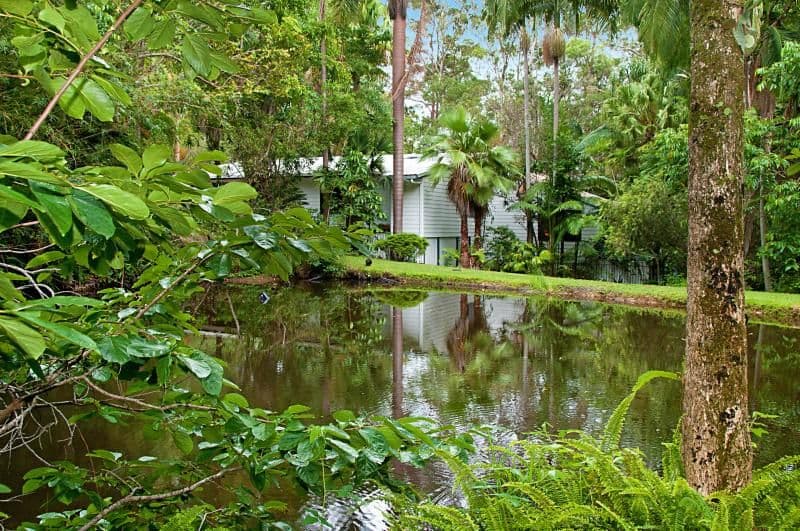 85 Kirbys Road, PALMWOODS QLD 4555, Palmwoods - Thumbnail 4