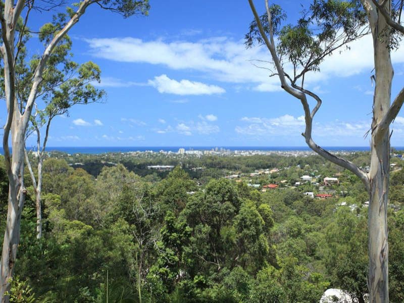 7 Griffith Lane, Buderim QLD 4556, Buderim - Thumbnail 4