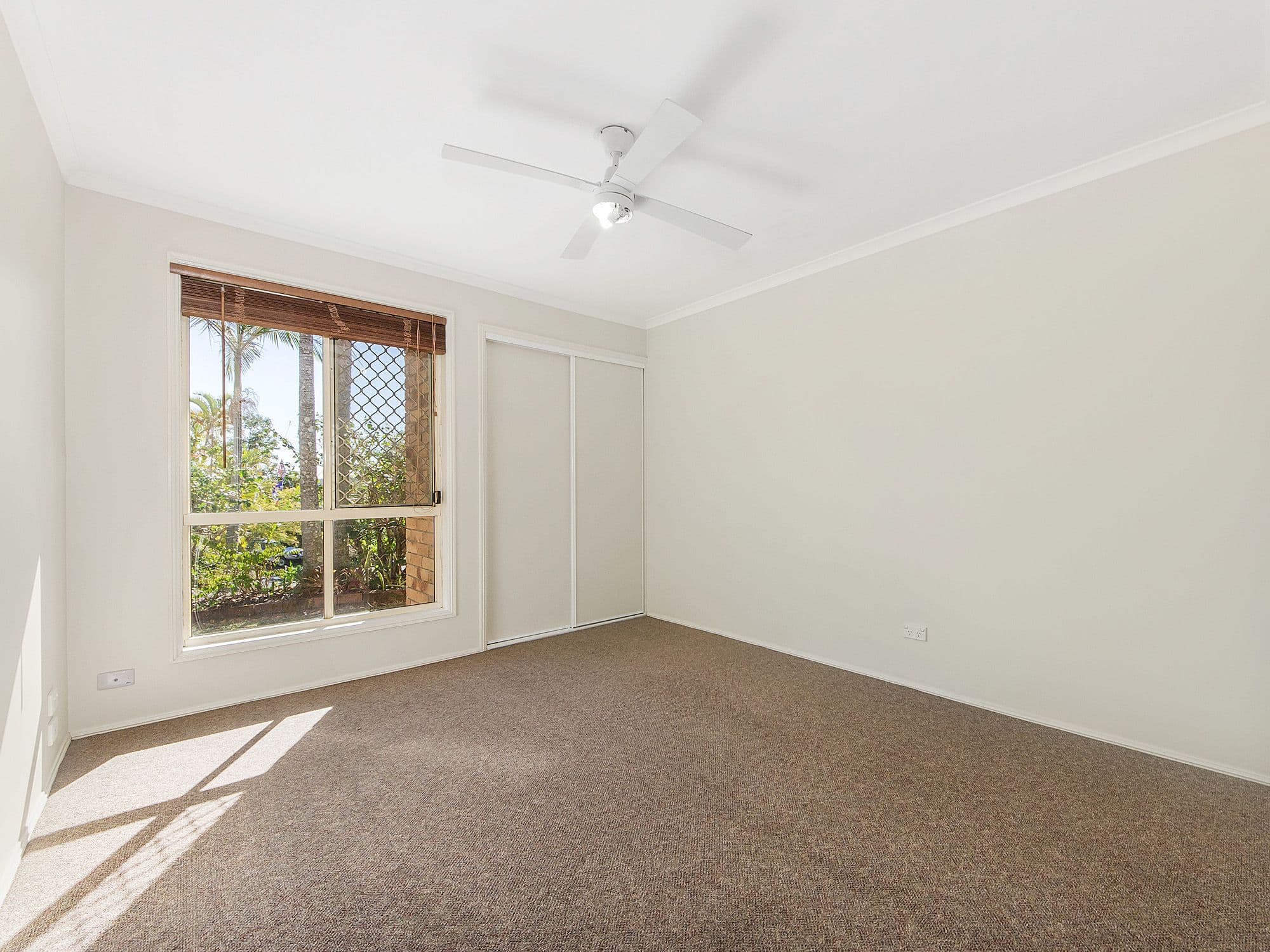 8 Hercule Court, Oxenford QLD 4210, Oxenford - Thumbnail 6