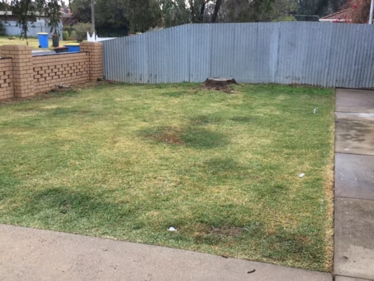 22 Queen Street, Numurkah, Numurkah - Thumbnail 3