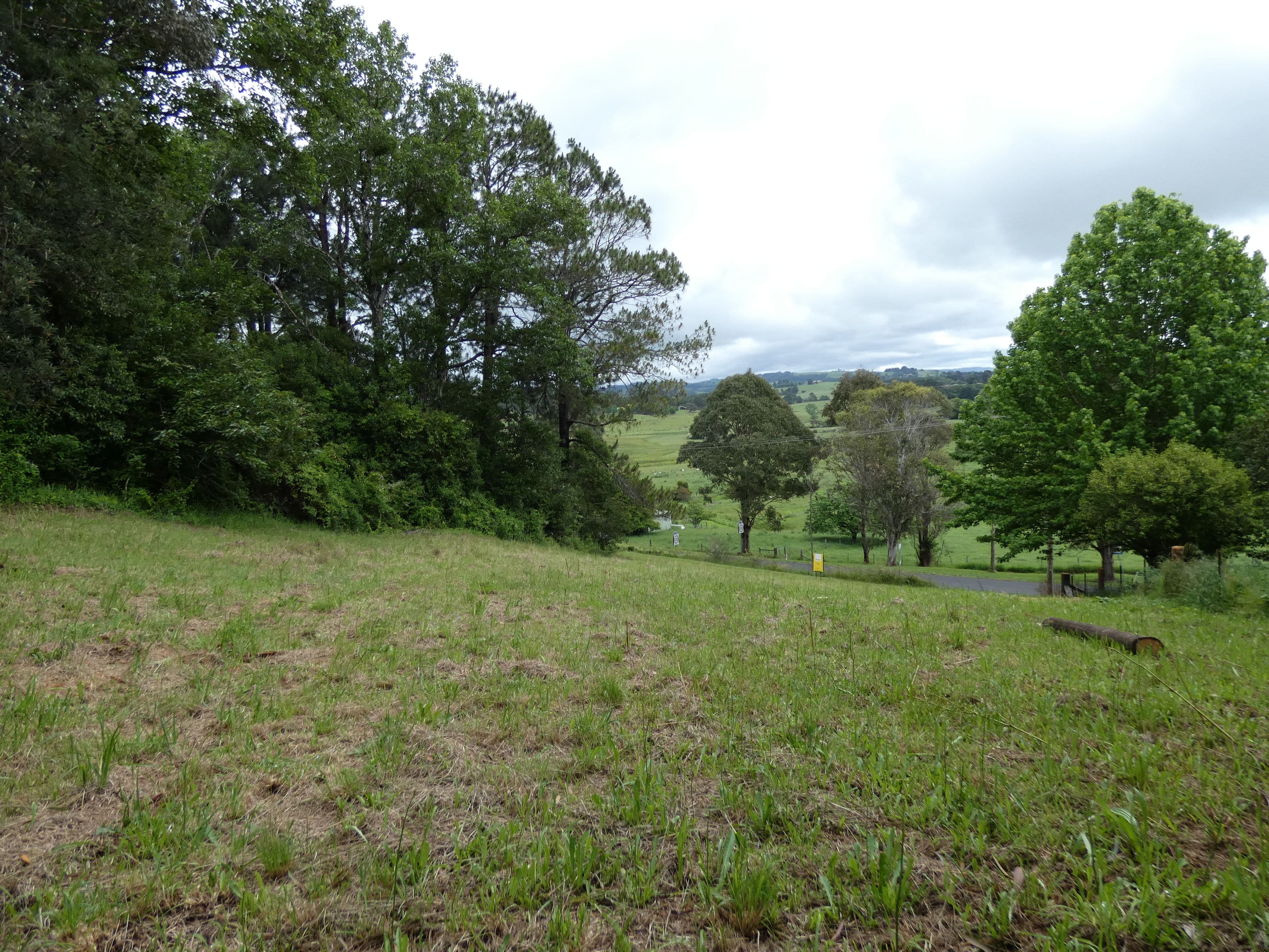 9 Hickory Street, Dorrigo NSW 2453, Dorrigo - Thumbnail 4