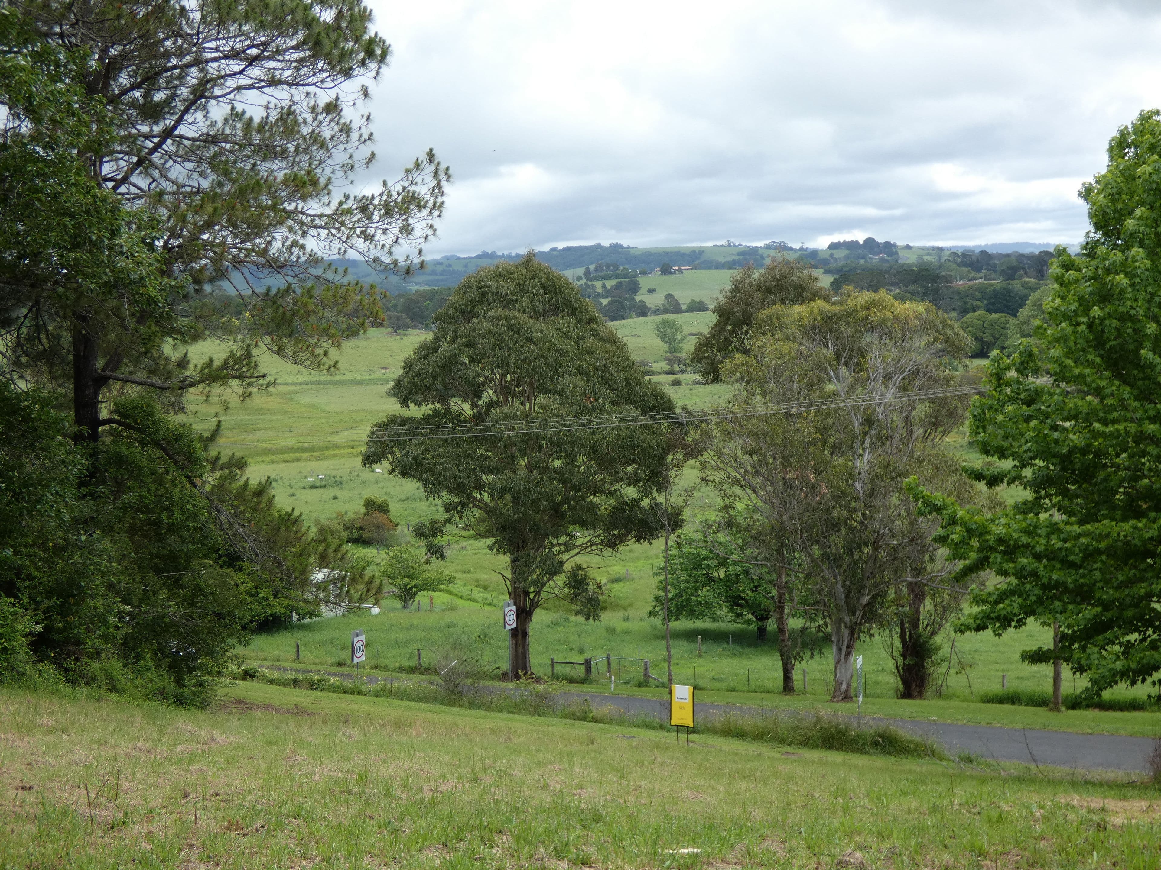 9 Hickory Street, Dorrigo NSW 2453, Dorrigo - Thumbnail 5