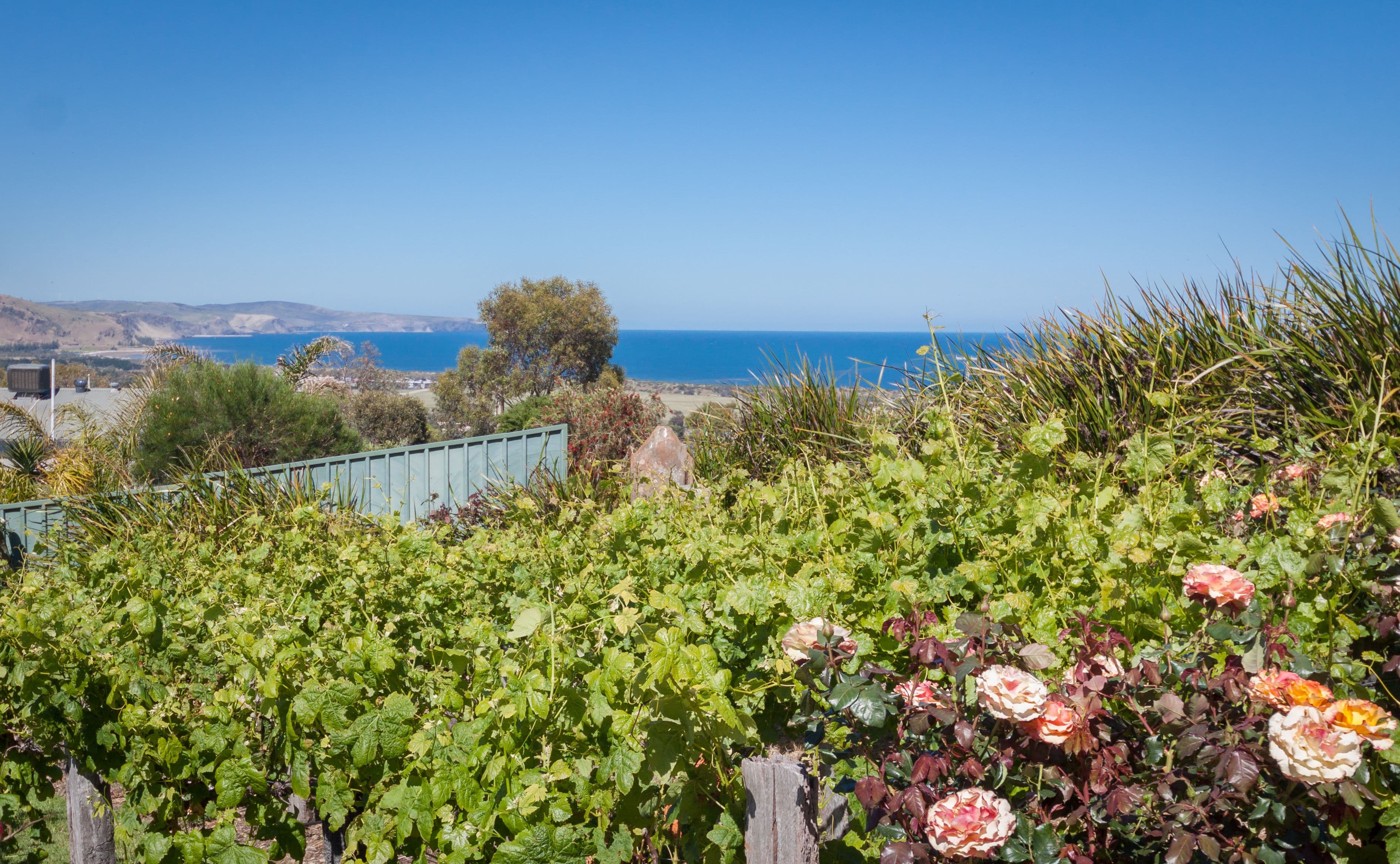 2a Hill Street, Normanville SA 5204, Normanville - Thumbnail 3