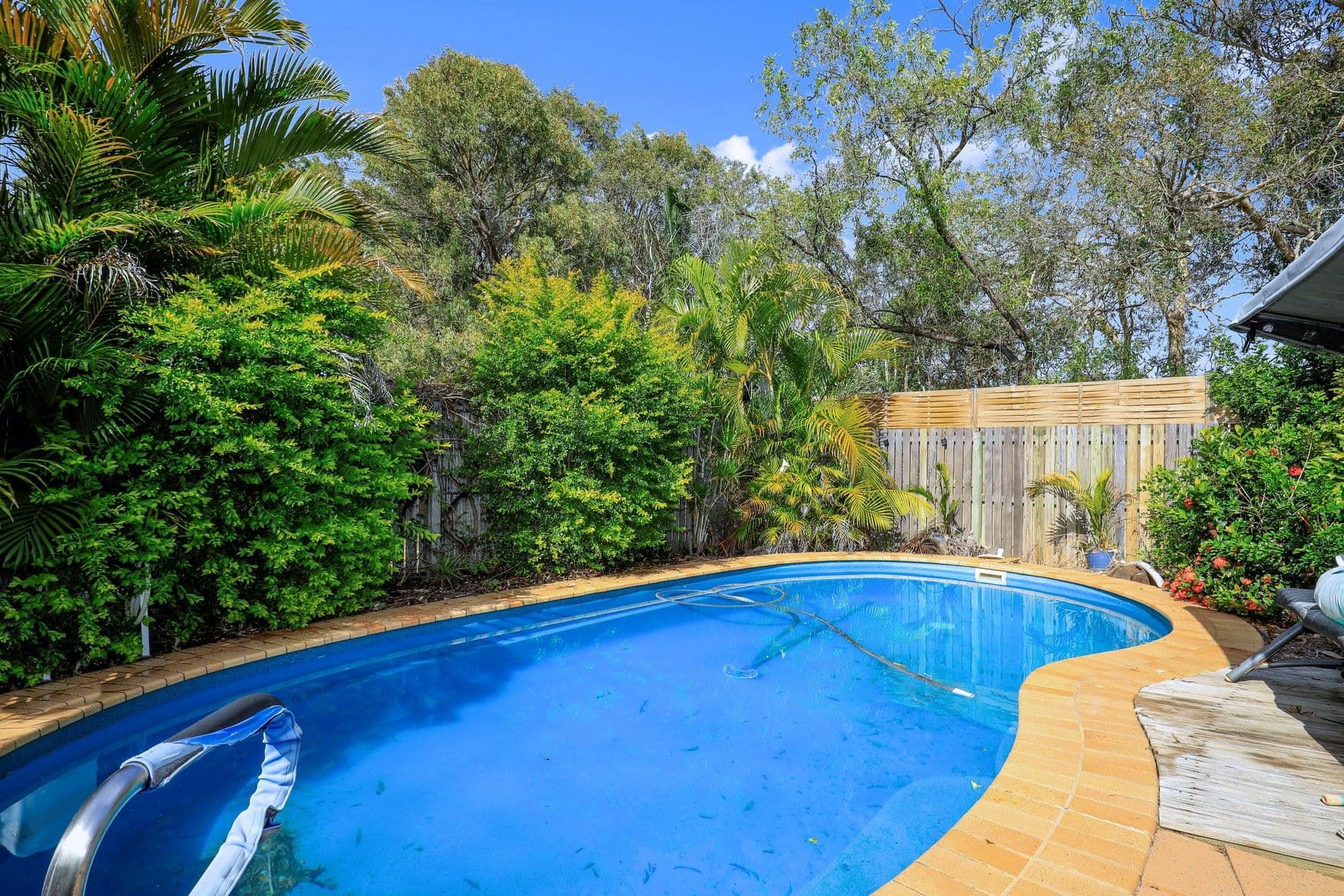 3 Caribbean Court, Avoca QLD 4670, Avoca - Thumbnail 3