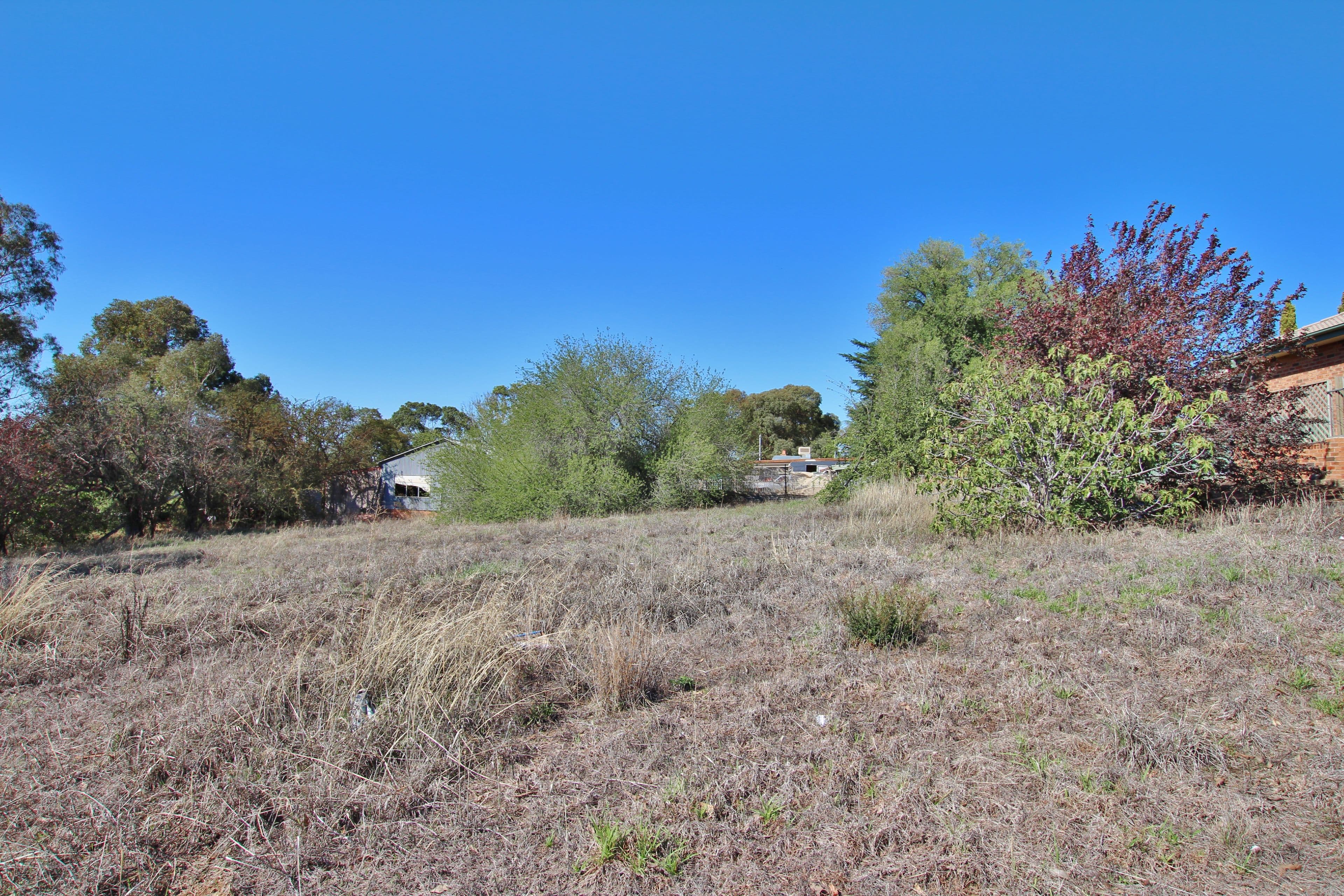 6 Hargreaves Crescent, Young NSW 2594, Young - Thumbnail 2