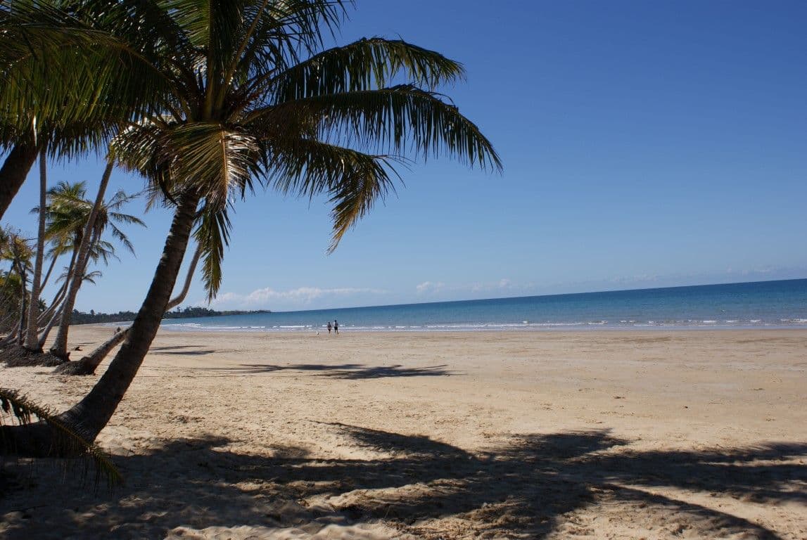Lot 143 Shelly Court, Mission Beach QLD 4852, Mission Beach - Thumbnail 3