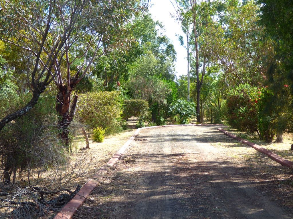 43 Miscamble Street, Roma QLD 4455, Roma - Thumbnail 2