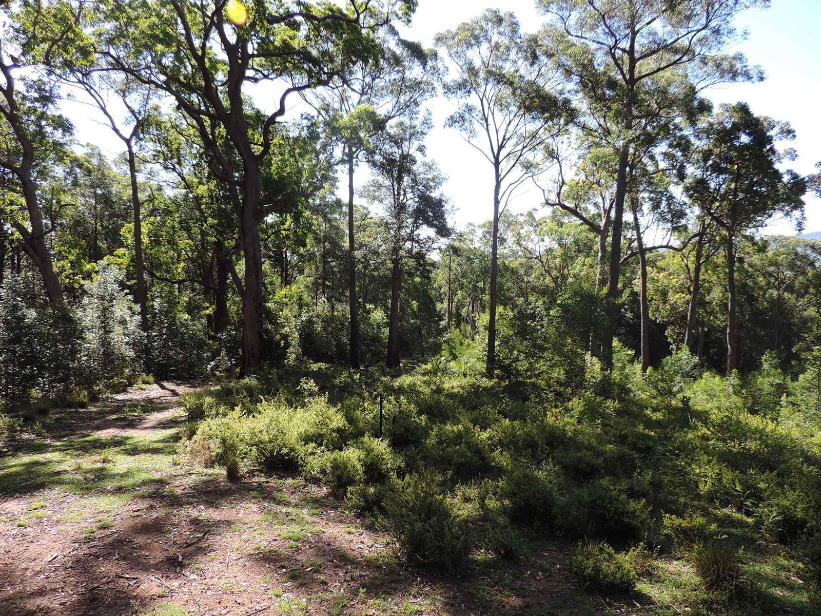 470 Bugong Road, Tapitallee NSW 2540, Tapitallee - Thumbnail 3