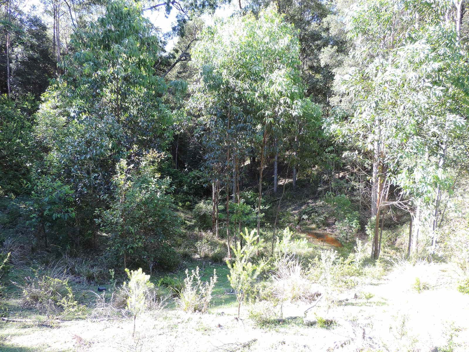 470 Bugong Road, Tapitallee NSW 2540, Tapitallee - Thumbnail 7