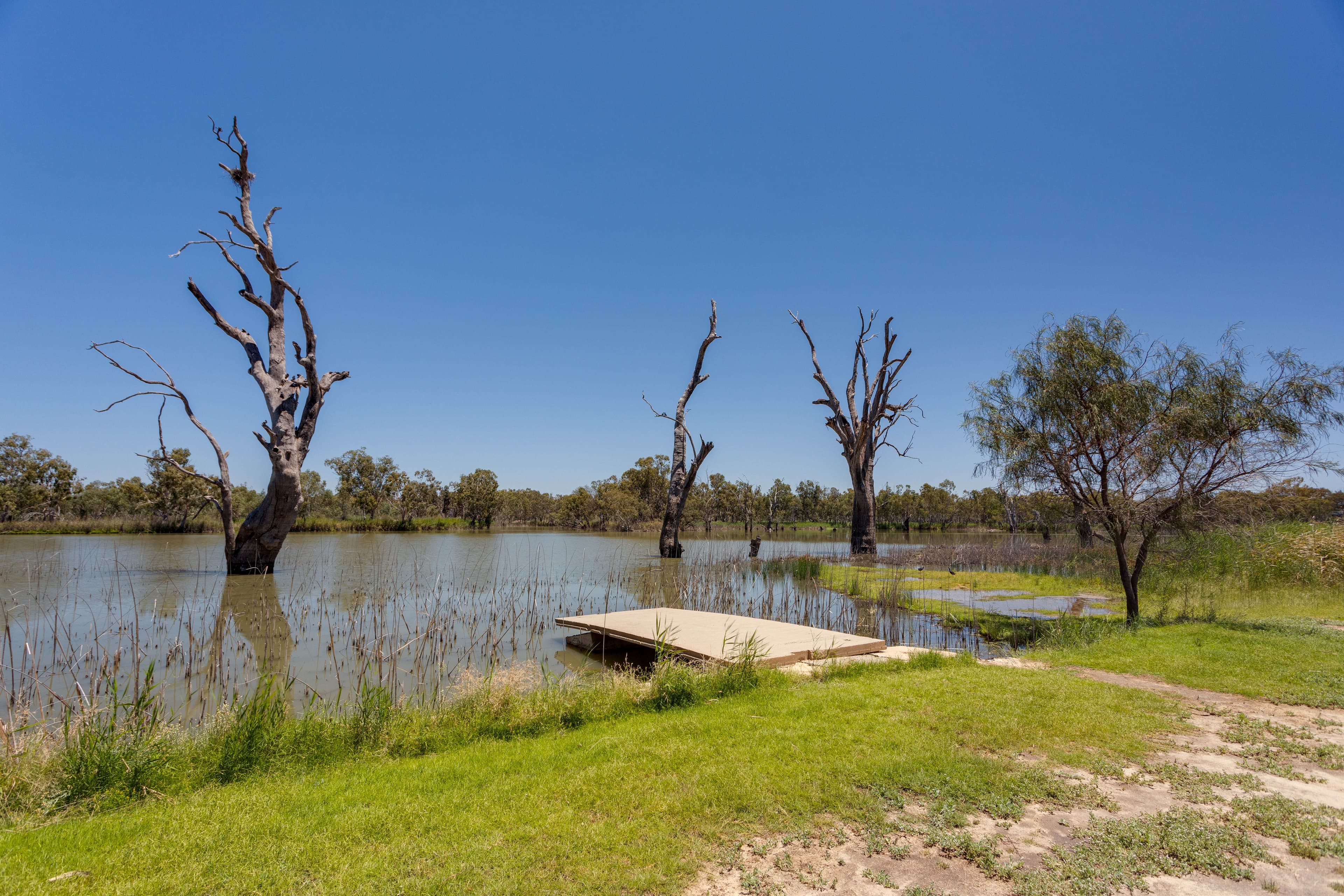 Site 15A Cobdogla Station Caravan Park, Cobdogla SA 5346, Cobdogla - Thumbnail 2