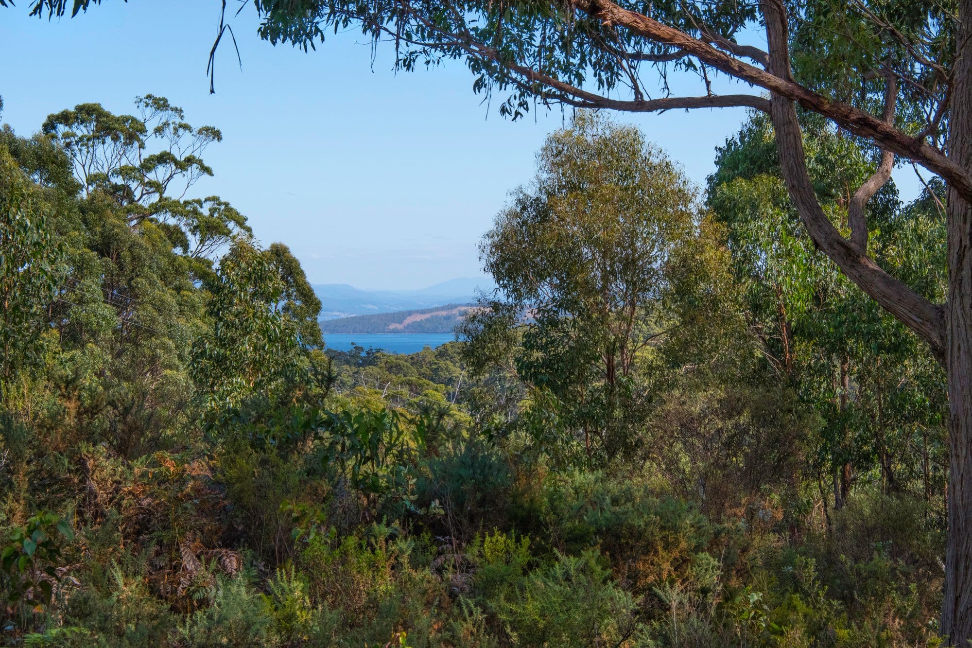 Lot 1 Bruny Island Main Road, Alonnah TAS 7150, Alonnah - Thumbnail 3