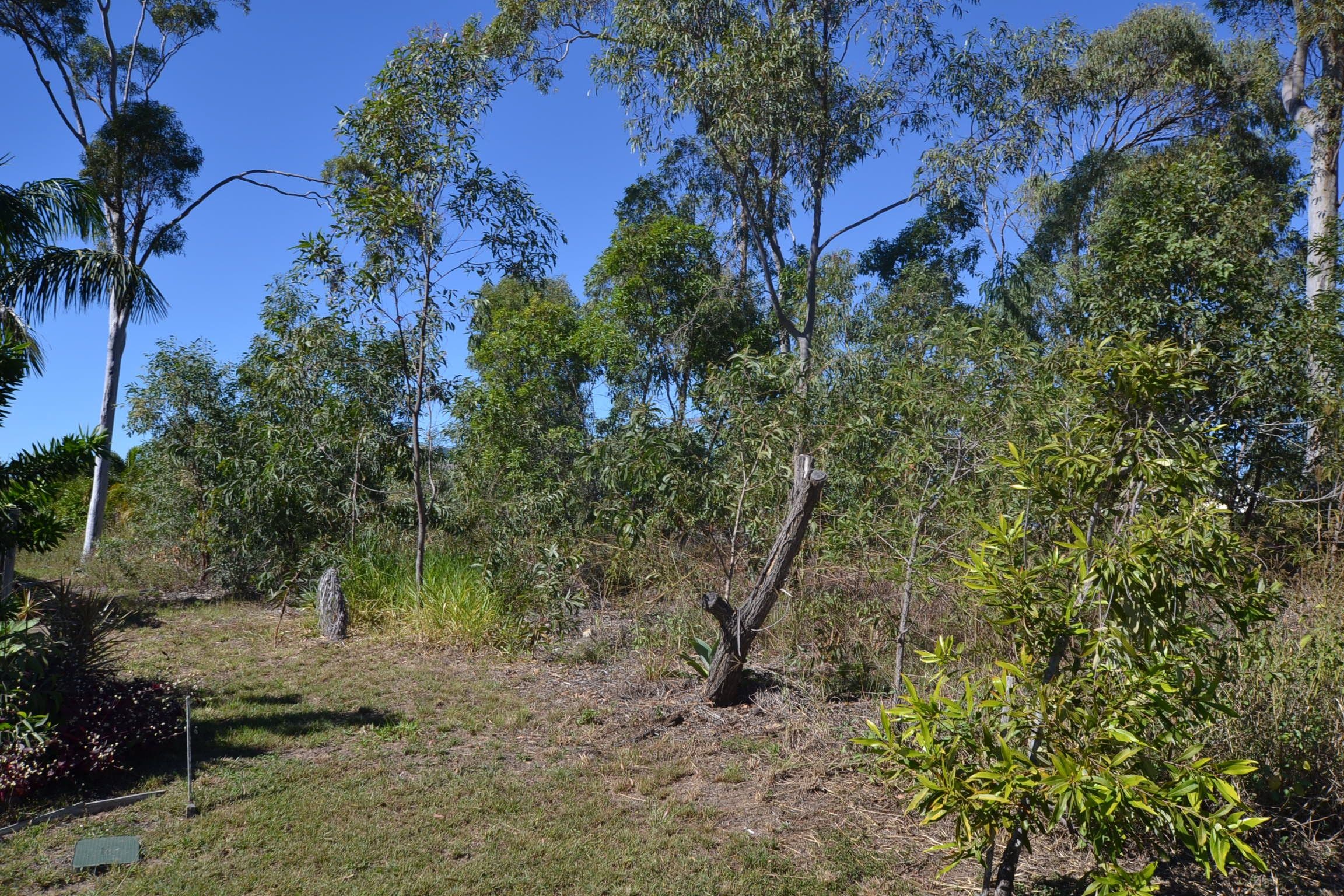 4 Waterlily Place, Yeppoon QLD 4703, Yeppoon - Thumbnail 4