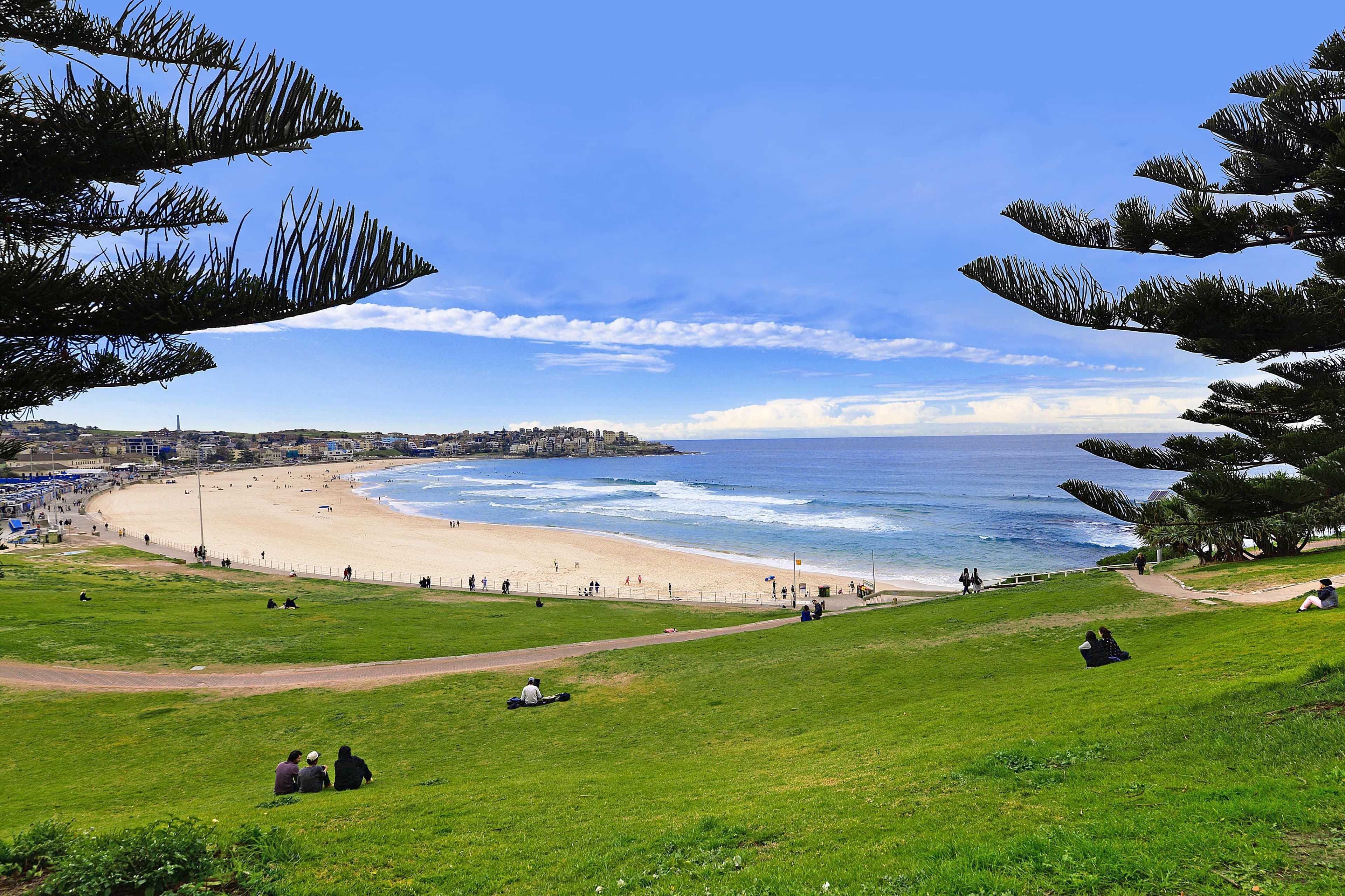 332 Bondi Road, Bondi Beach NSW 2026, Bondi - Thumbnail 6