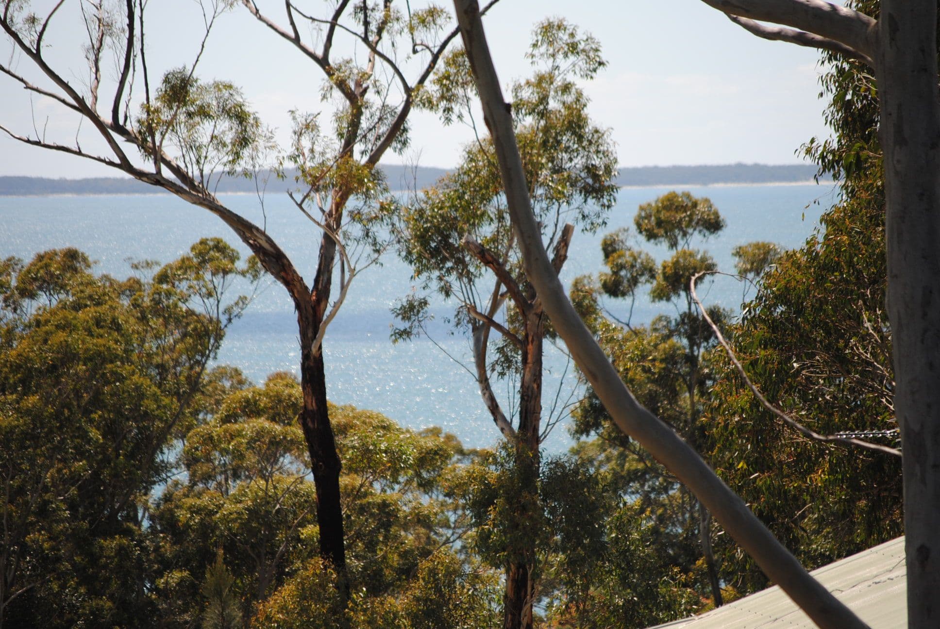 26 Minerva Avenue, VINCENTIA NSW 2540, Vincentia - Thumbnail 3
