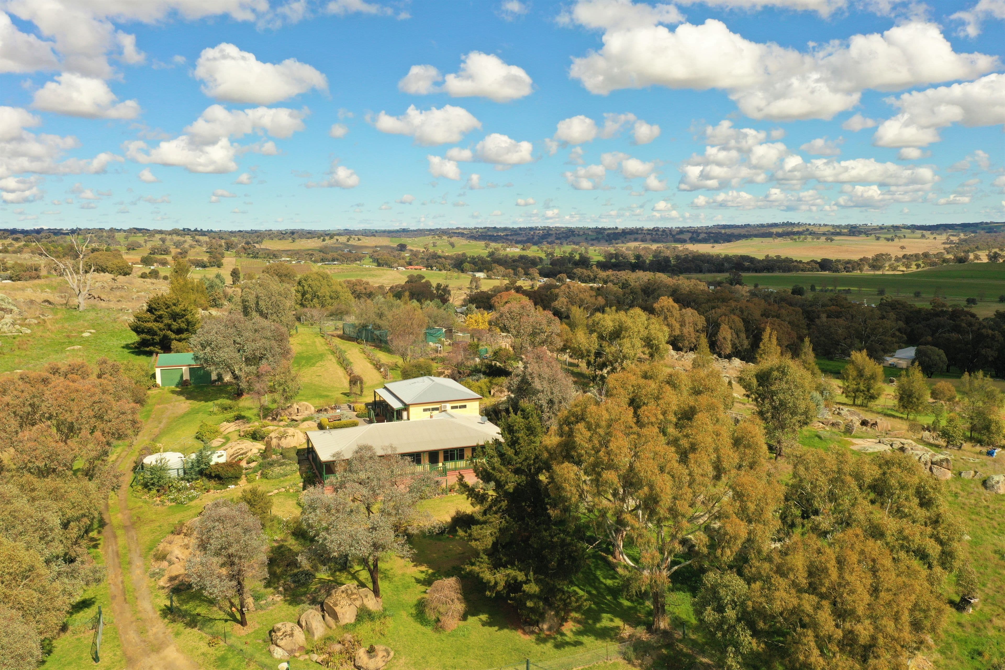 40 Burrows Road, Young NSW 2594, Burrangong - Thumbnail 4