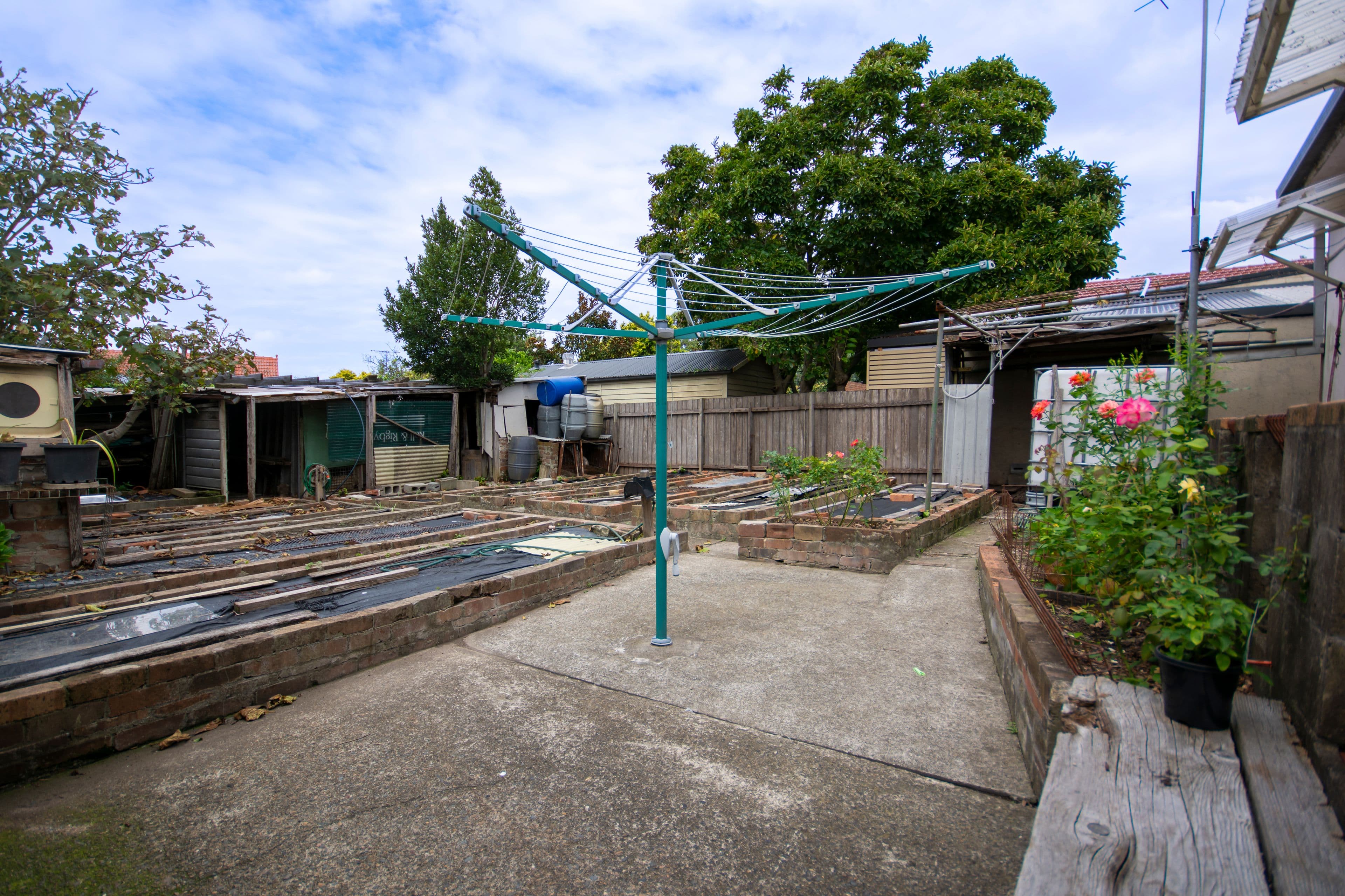 65 Dalhousie Street, Haberfield NSW 2045, Haberfield - Thumbnail 3