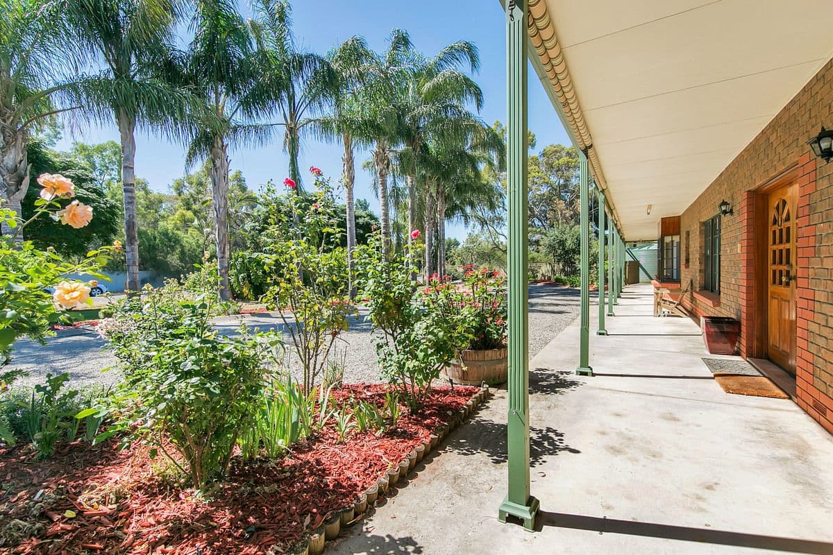 44 Defoe Street, Wiley Park NSW 2195, Wiley Park - Thumbnail 2