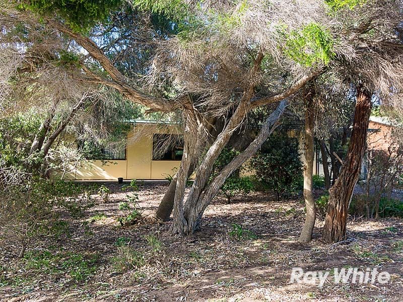 12 Shipway Street, Goolwa Beach SA 5214, Goolwa Beach - Thumbnail 2