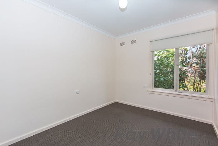 3 / 4 Howard St, Canterbury, Canterbury - Thumbnail 7