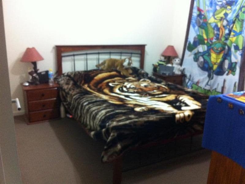 152 Alawoona Sreet, Redbank Plains QLD 4301, Redbank Plains - Thumbnail 5