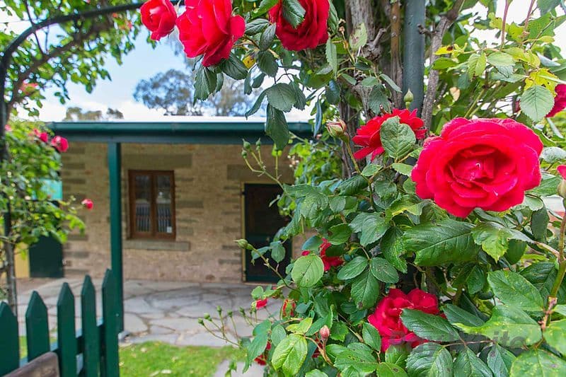 4 Frederick Place, AUBURN SA 5451, Auburn - Thumbnail 2
