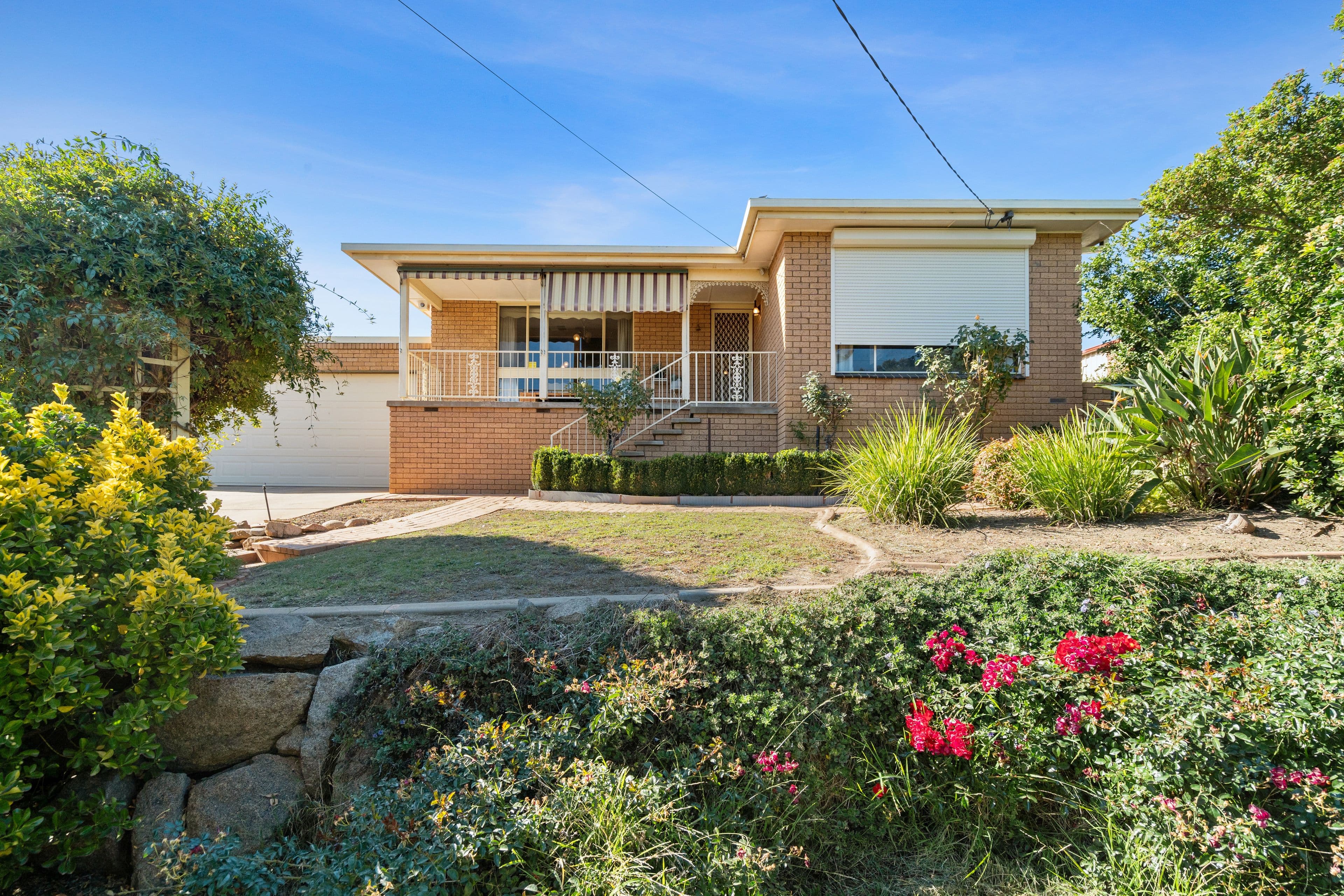 3 Mimosa Drive, Mount Austin NSW 2650, Mount Austin - Image 1