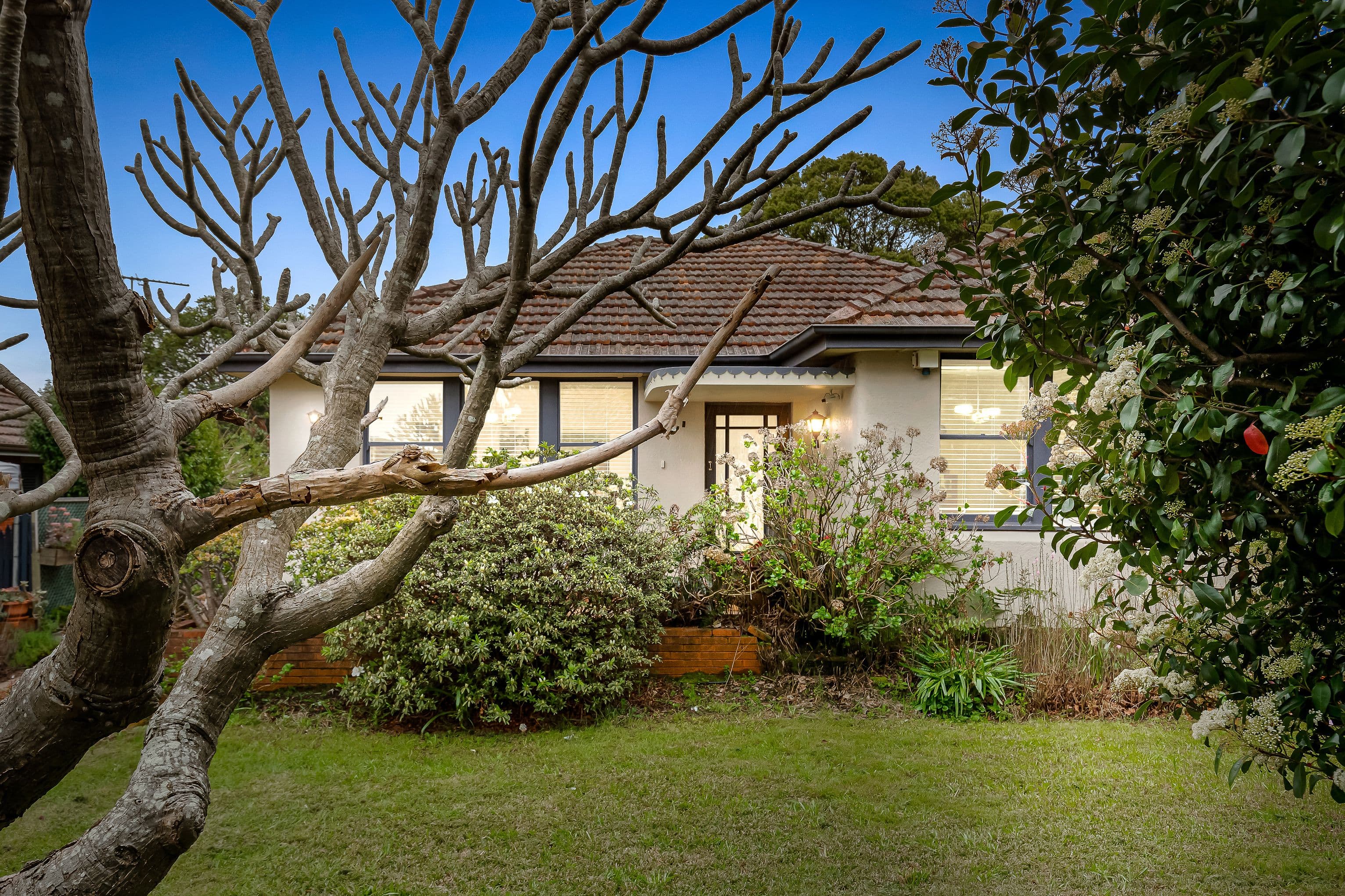 11 Douglas Street, Earlwood NSW 2206, Earlwood - Image 1