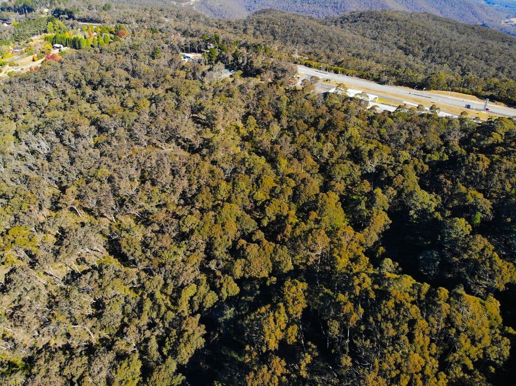 6-12 Kuke Road, Blackheath NSW 2785, Blackheath - Thumbnail 4