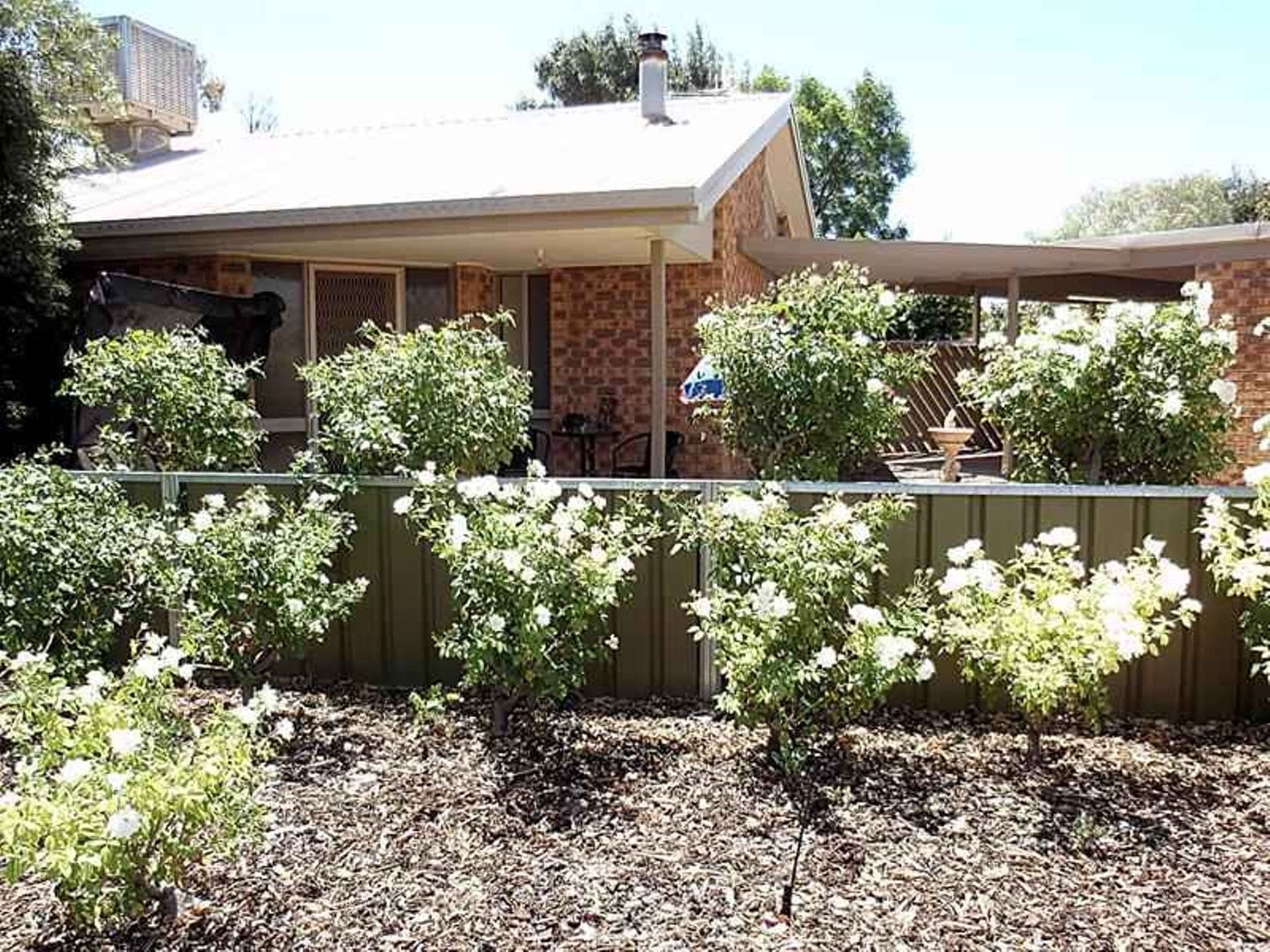 6 Oswald Court, Mildura - Thumbnail 8