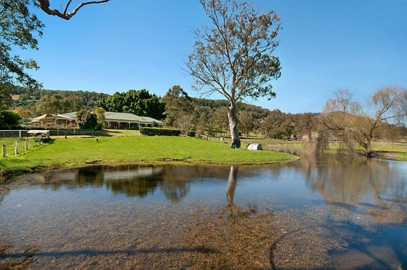 91 and 93 Spring Grove Road, CANIABA NSW 2480, Caniaba - Thumbnail 2