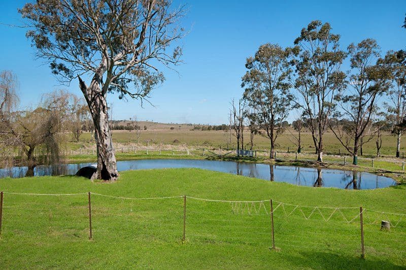 91 and 93 Spring Grove Road, CANIABA NSW 2480, Caniaba - Thumbnail 8