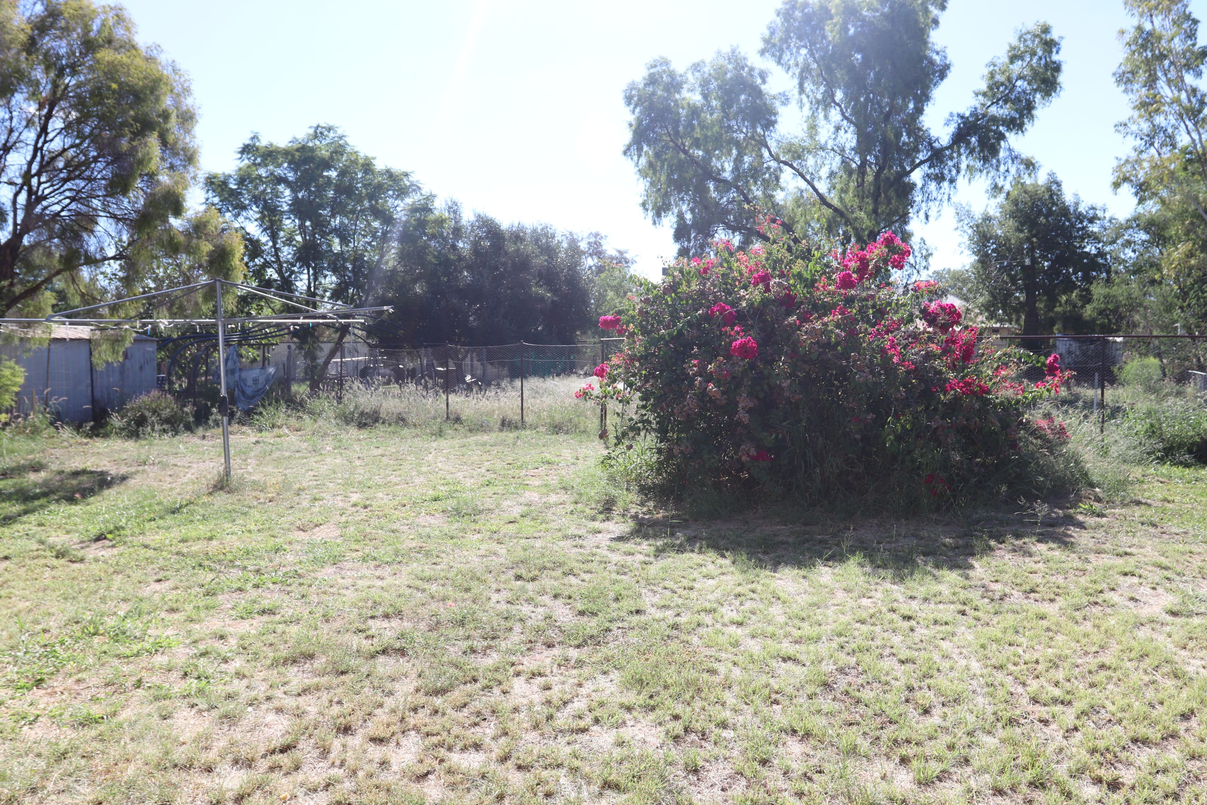 113 Edward Street, Charleville QLD 4470, Charleville - Thumbnail 8