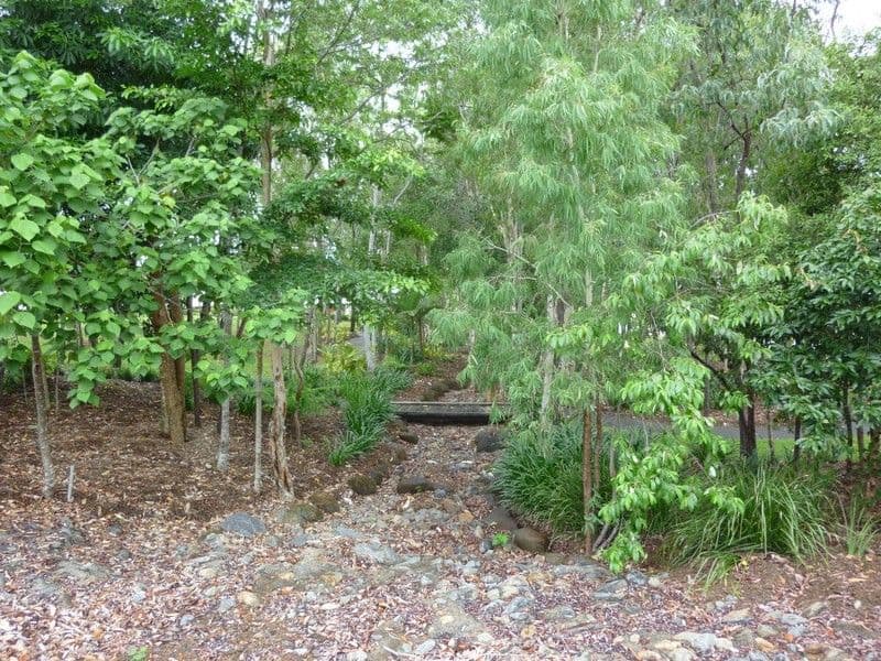 17 Propeller Court, TRINITY BEACH QLD 4879, Trinity Beach - Thumbnail 7