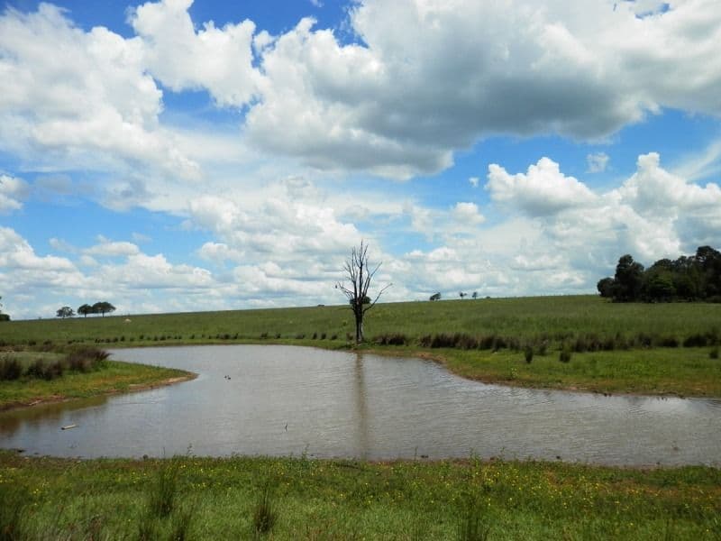 11 Bellview Road, Haigslea QLD 4306, Haigslea - Thumbnail 6