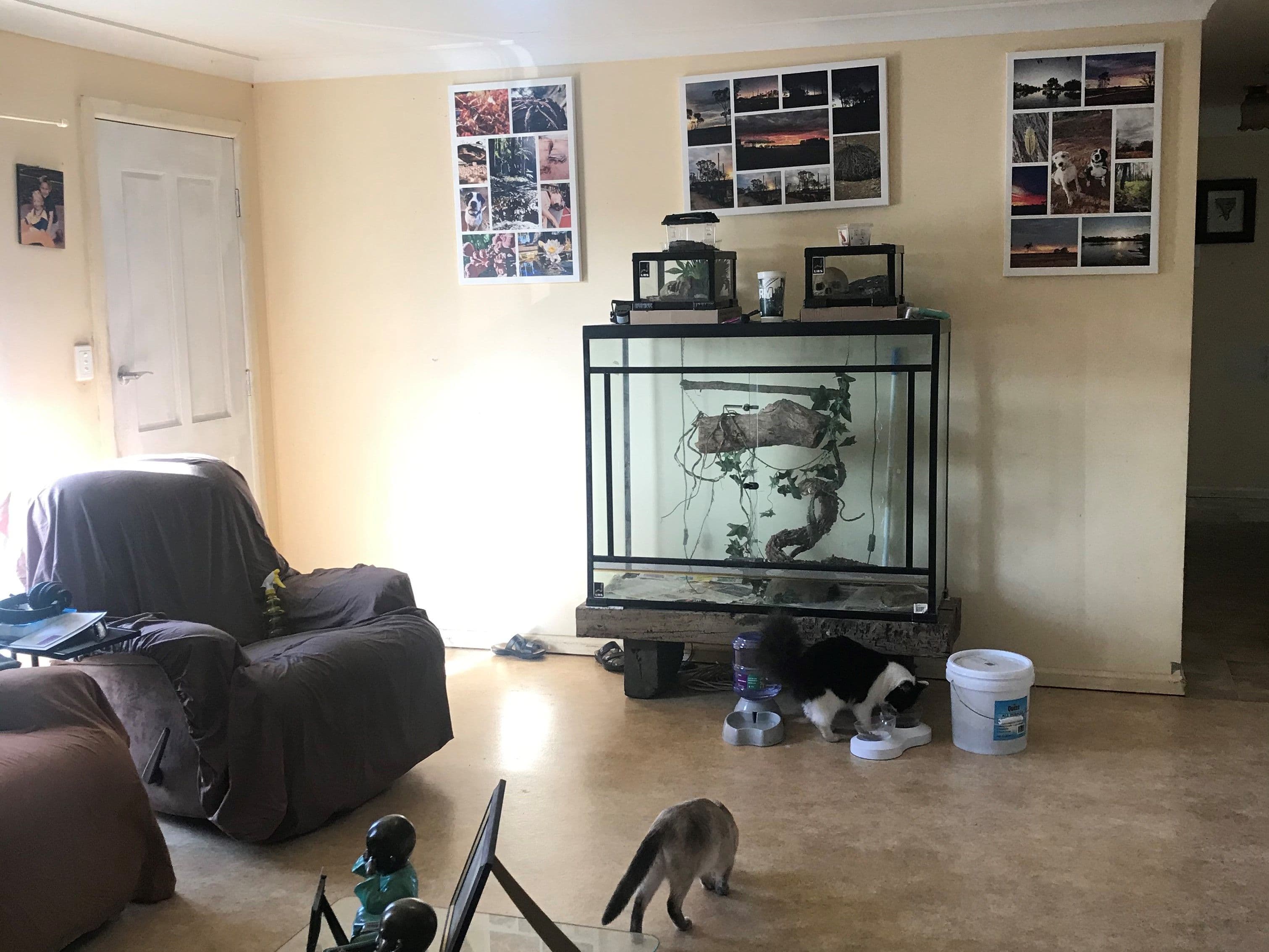 30 Barbour Street, Esk QLD 4312, Esk - Thumbnail 3