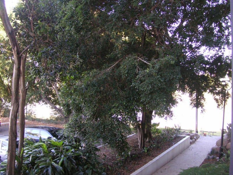 210 10 Pidgeon Close, WEST END QLD 4101, West End - Thumbnail 7