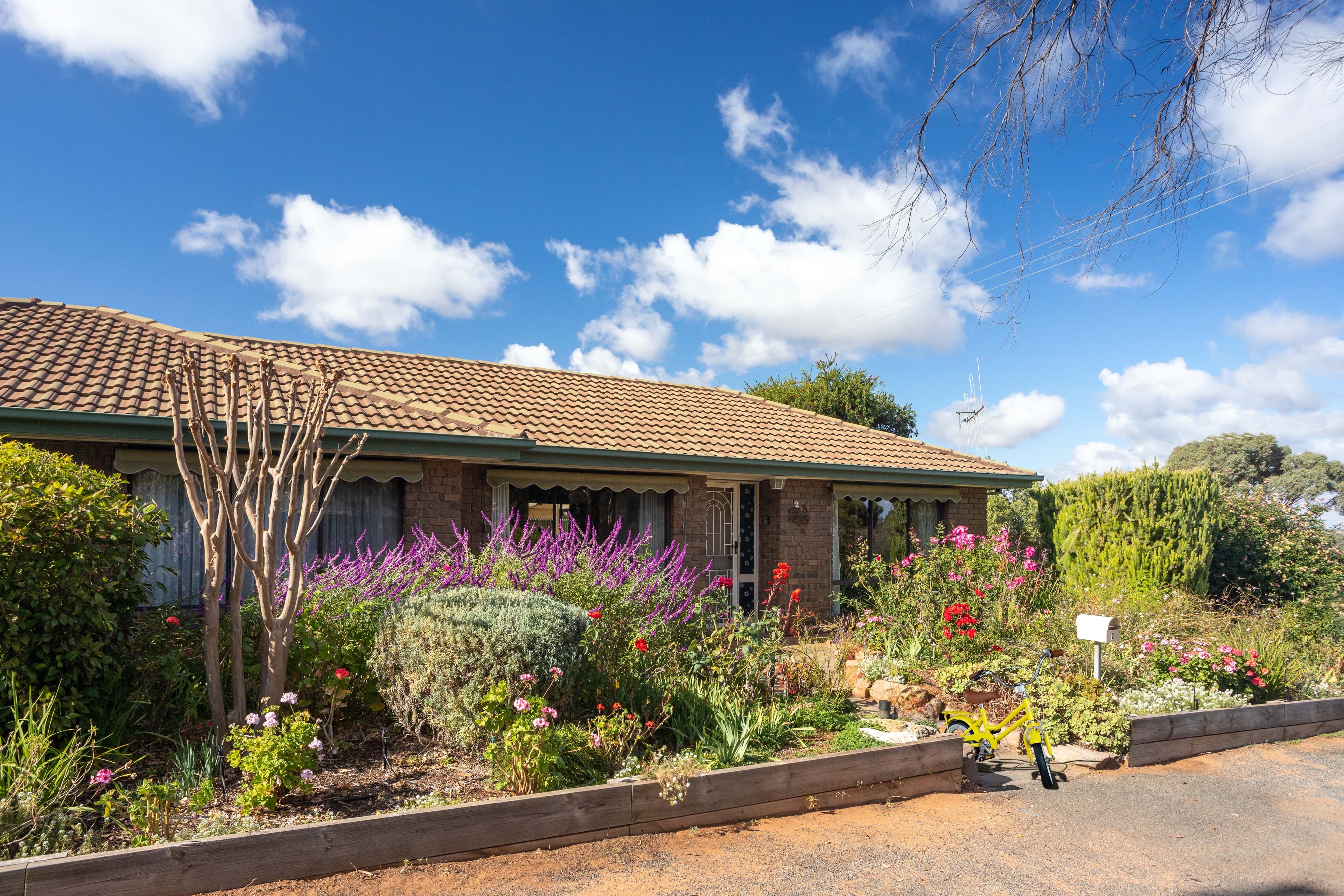 2 Sultana Street, Berri SA 5343, Berri - Thumbnail 2