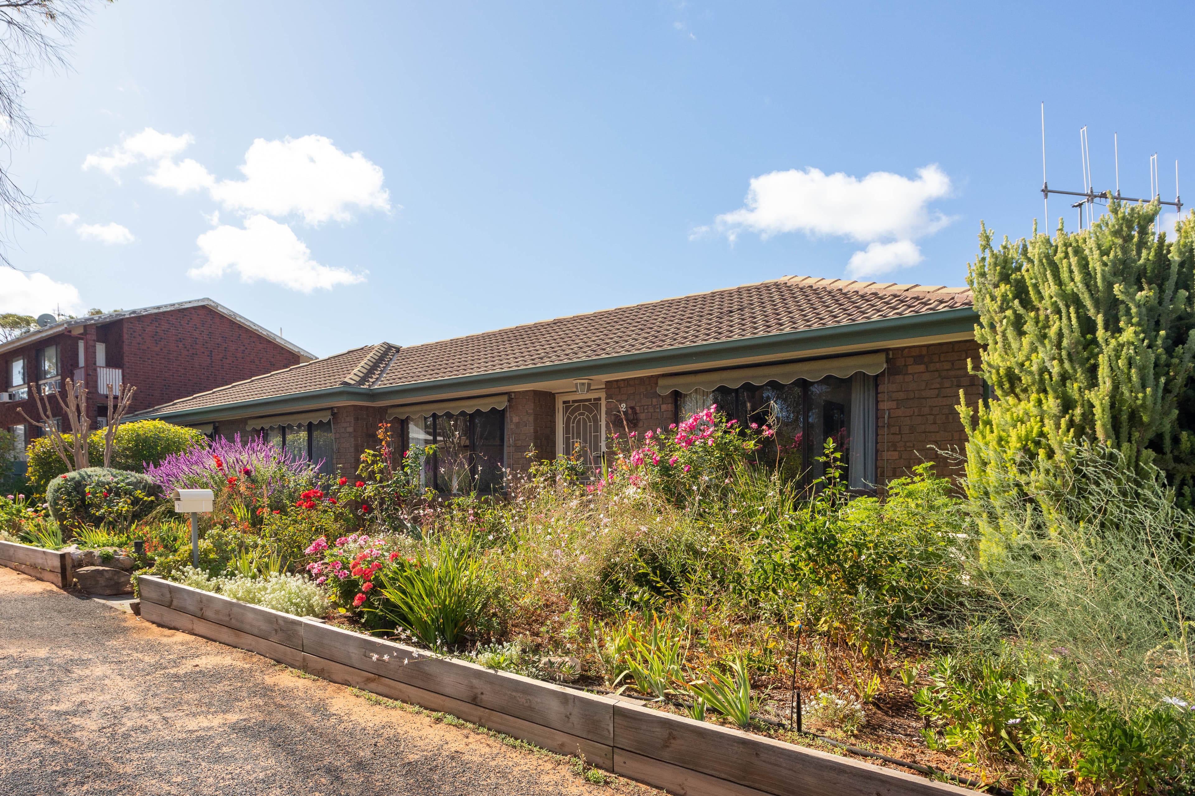2 Sultana Street, Berri SA 5343, Berri - Thumbnail 3
