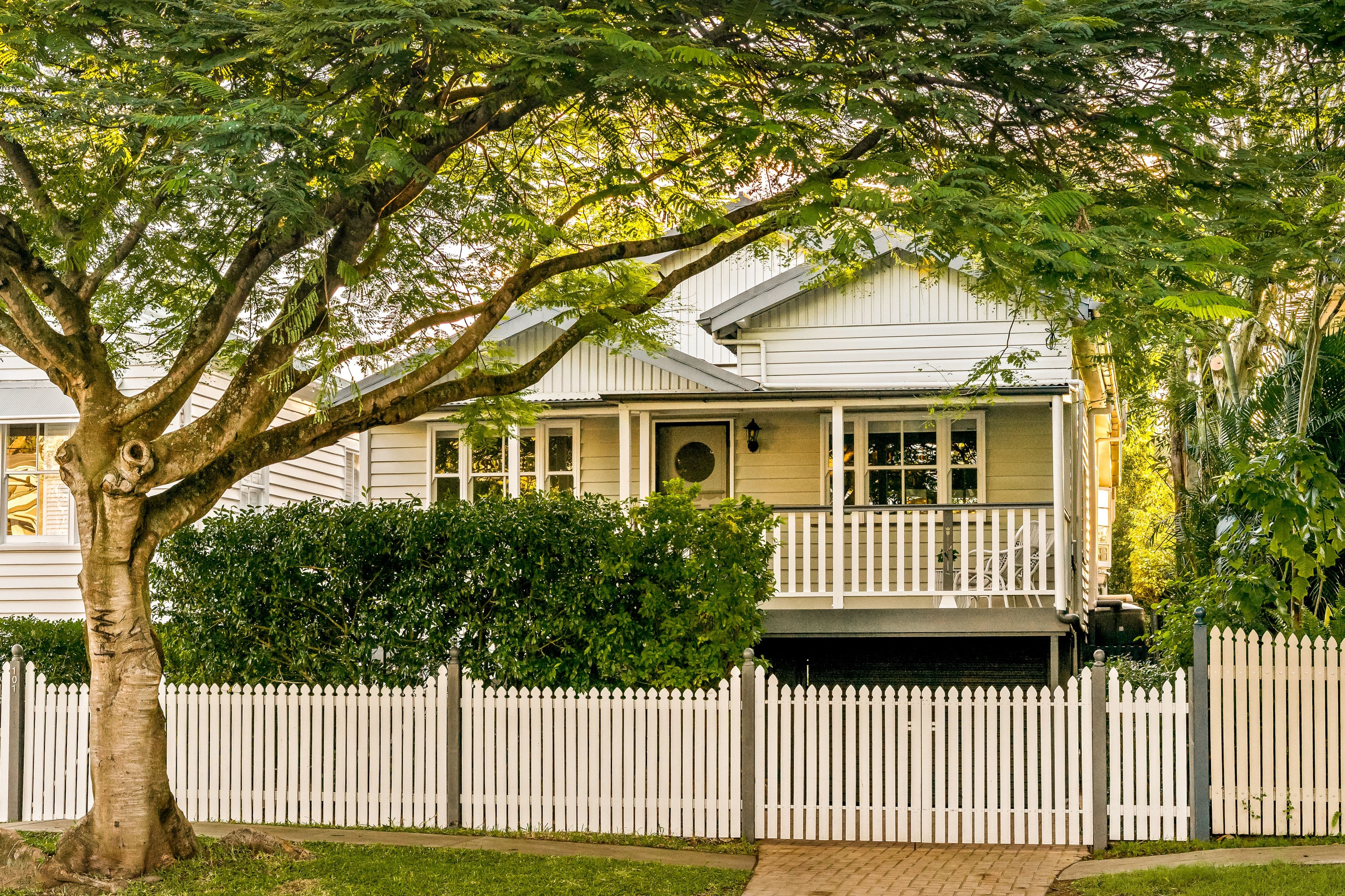101 Swan Street, Gordon Park QLD 4031, Gordon Park - Thumbnail 3