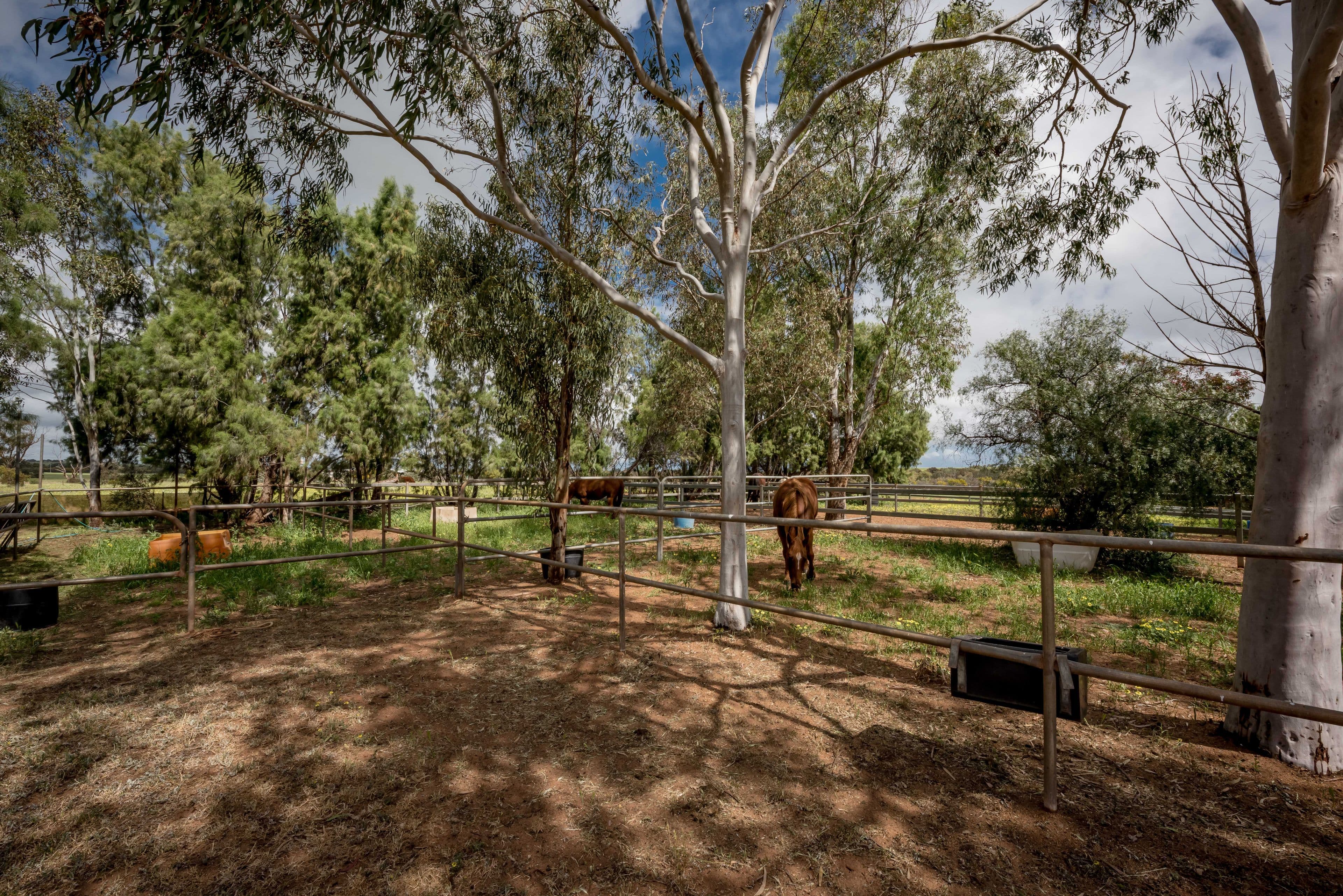 5 Hill River Way, Moonyoonooka WA 6532, Moonyoonooka - Image 1